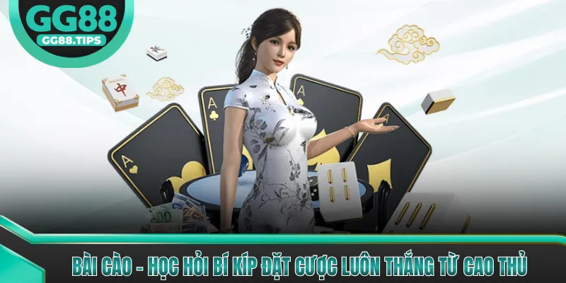 Bài Cào - Học Hỏi Bí Kíp Đặt Cược Luôn Thắng Từ Cao Thủ