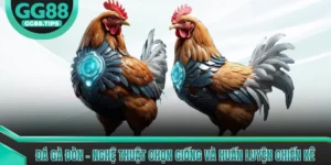 Đá Gà Đòn - Nghệ Thuật Chọn Giống Và Huấn Luyện Chiến Kê