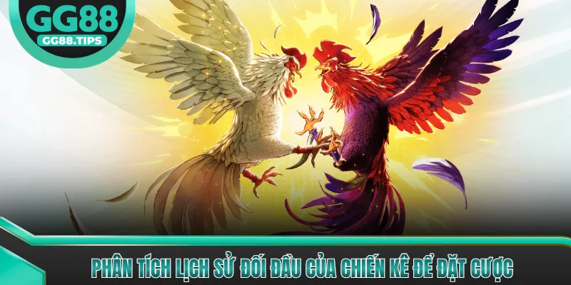 Phân tích lịch sử đối đầu của chiến kê để đặt cược