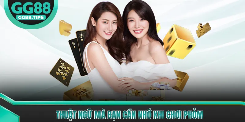 Thuật ngữ mà bạn cần nhớ khi chơi phỏm